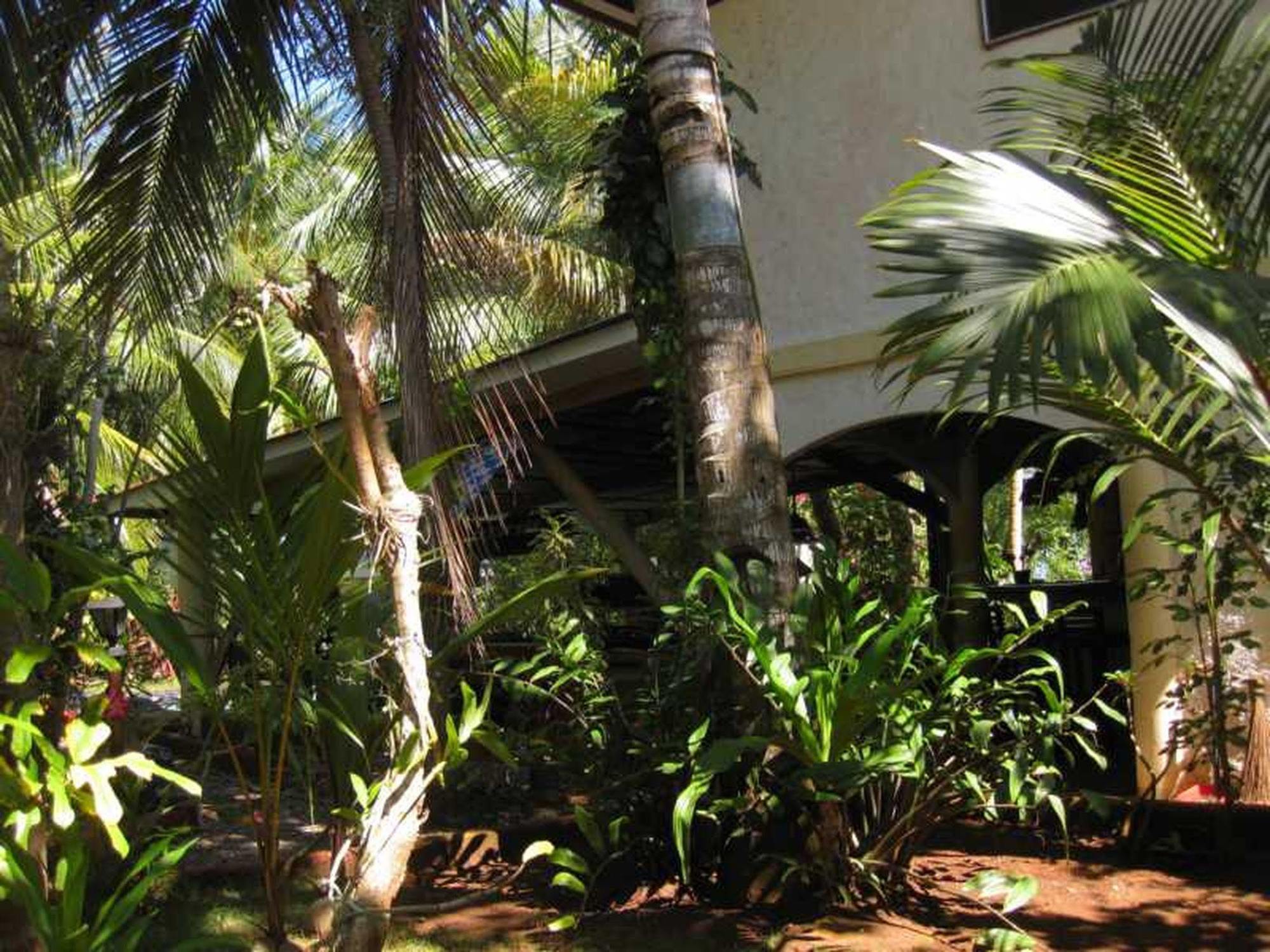 Calypso Resort Panglao Island Exterior photo