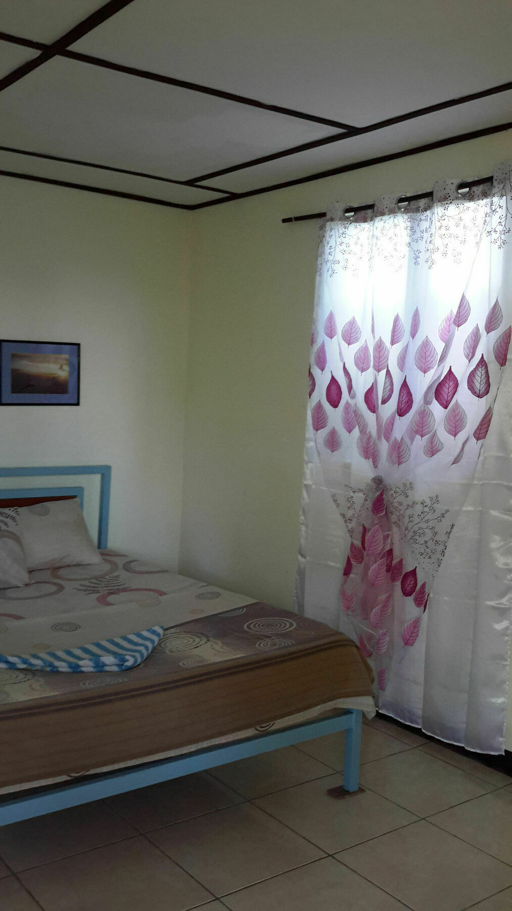 Calypso Resort Panglao Island Exterior photo