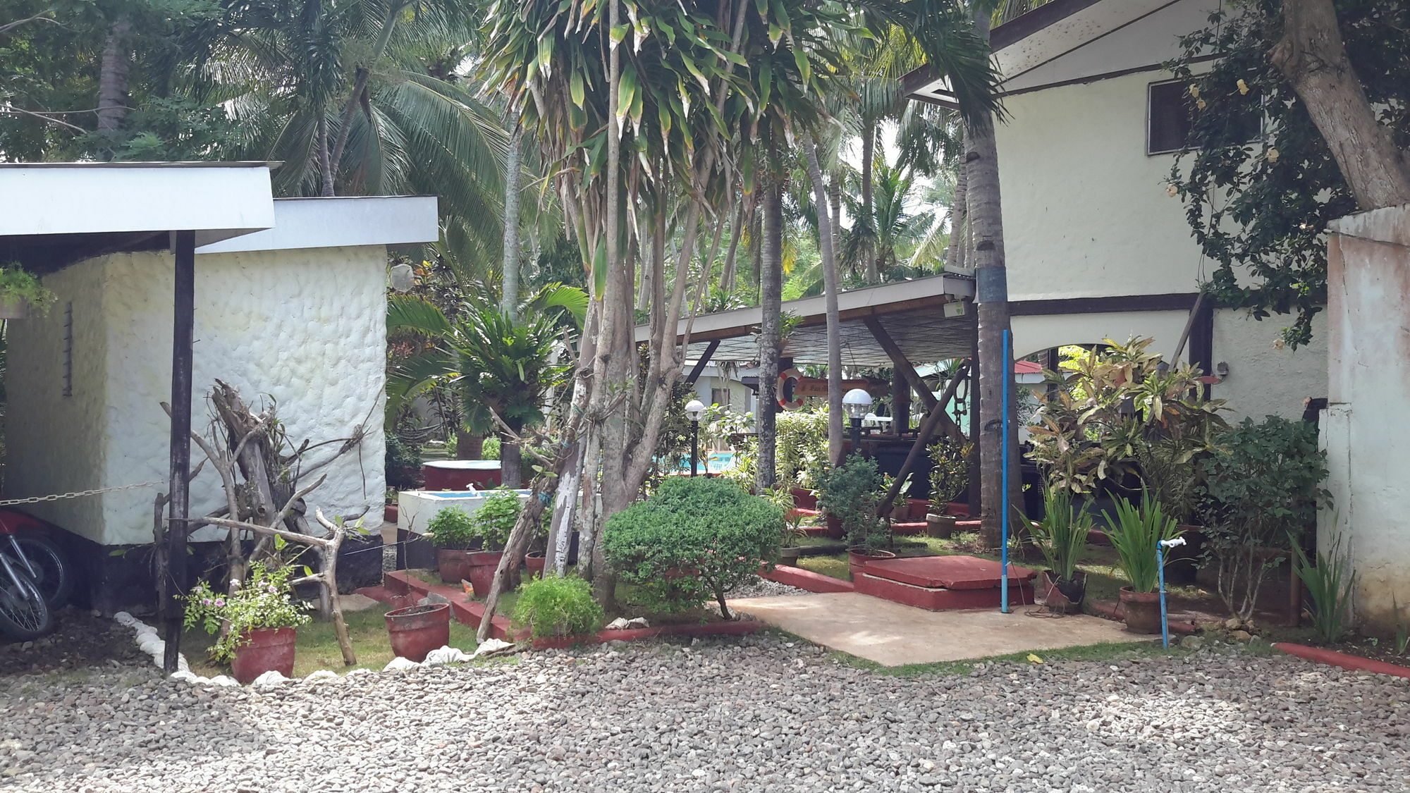 Calypso Resort Panglao Island Exterior photo